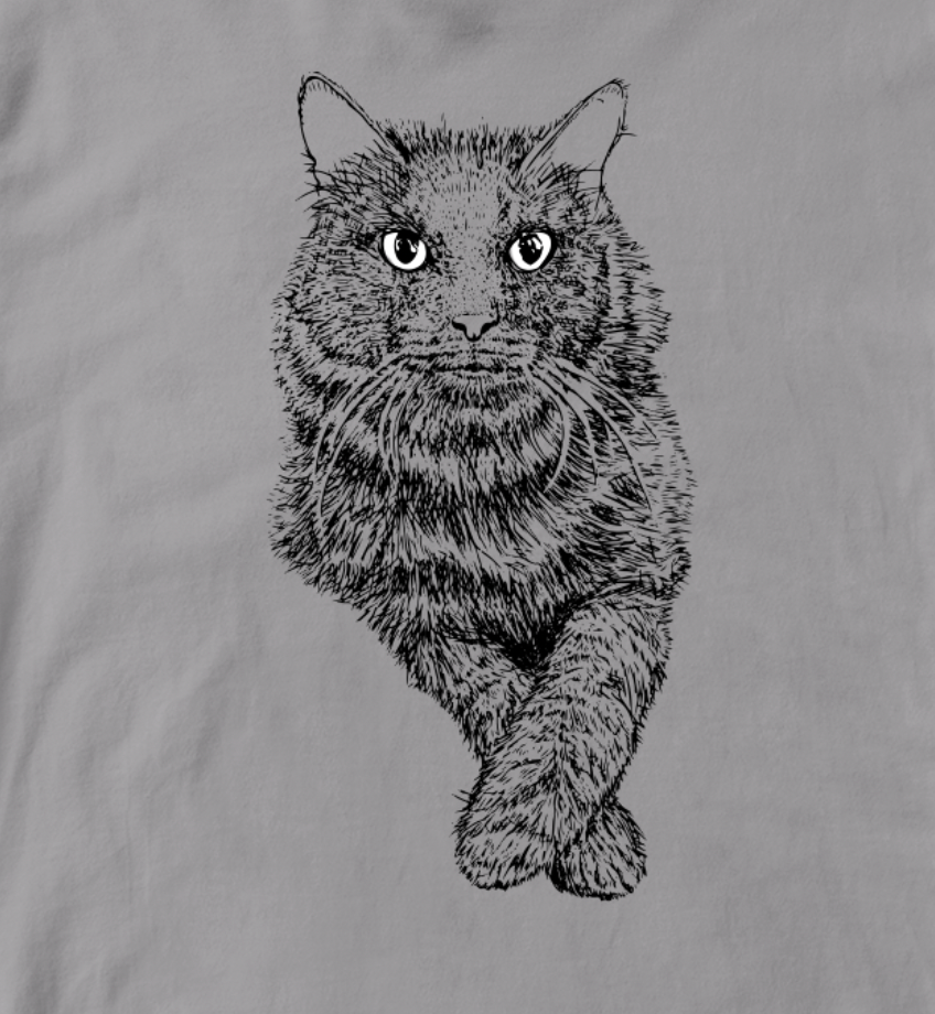 Perfect Kitty